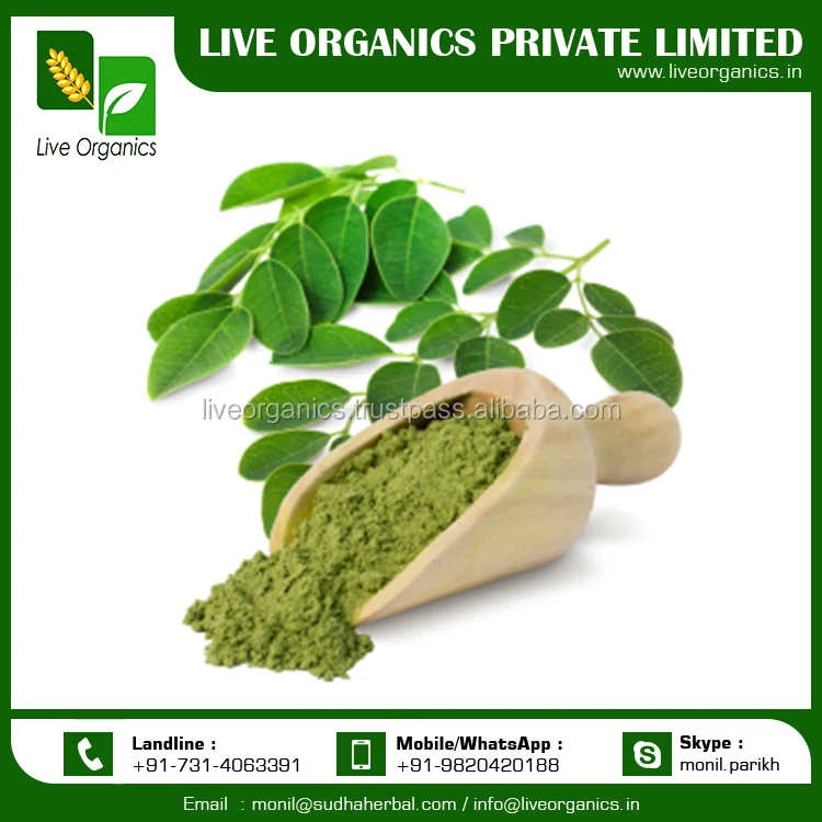 moringa powder price