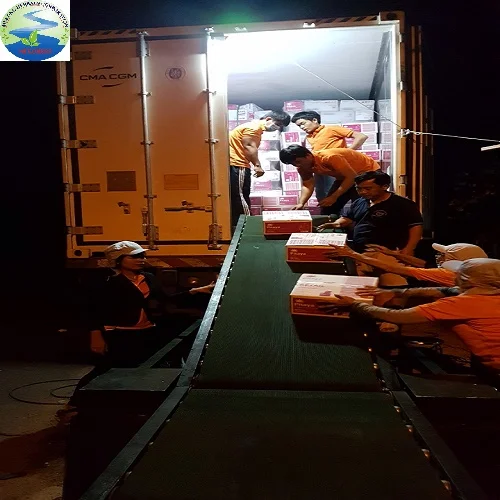 3e554e4817fff6a1afee