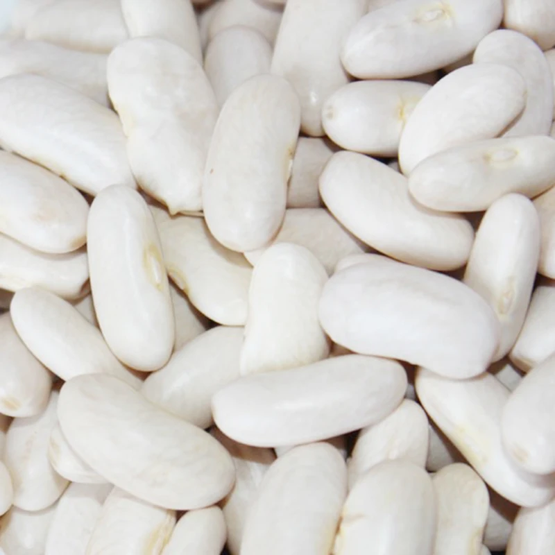 white pea beans navy white kidney beans small bean for sale