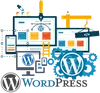 SEO Friendly Web Design and Development Experts in Wordpress