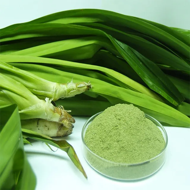 Pandan Leaves Powder/ Panda Leaf Extract/angel + 0084902870213 Buy Pandan Leaves Powder,Pandan