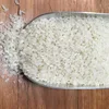 Egyptian Short White Rice- Whatsapp: +84905209103