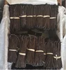 Organic Cultivated Gourmet vanilla beans from Madagascar, Bourbon vanilla,Black Vanilla Bean Farm Price