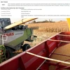 YELLOW CORN FOR FEED NON GMO GRAIN