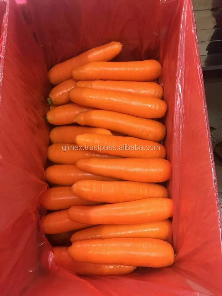 
CARROT BEST QUALITY 2020 