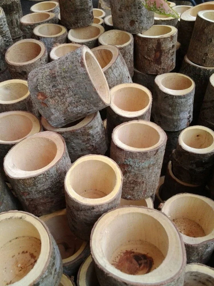 
Hallow natural wood decoration vase pot planter 