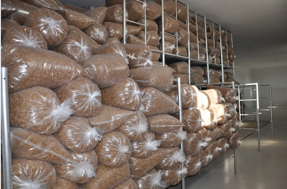 Create a Realistic Fake Waxworm 4 Steps Instructables