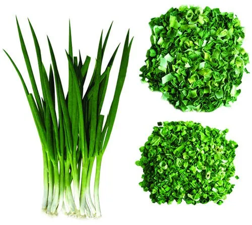 Scallions - Green Onions - Spring Onion - Fresh Scallions Whatsapp +84 ...