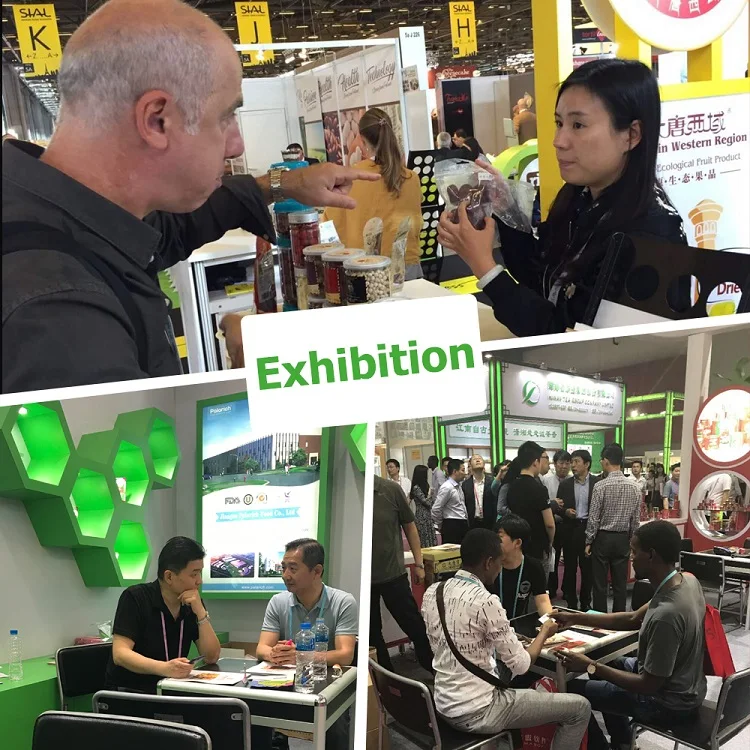 
China Paper Inshelled The Walnut Inshell Wholesale Raw Meat Exporter 