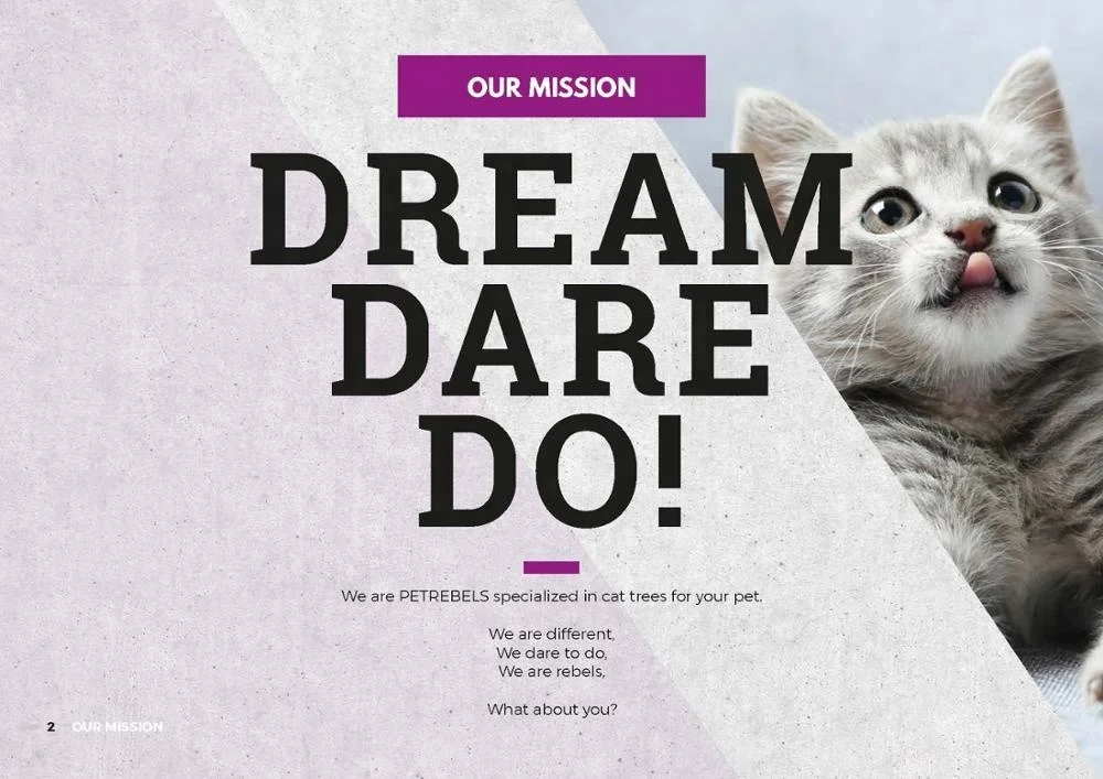 431021 cat tree xxl miami 245 brown petrebels