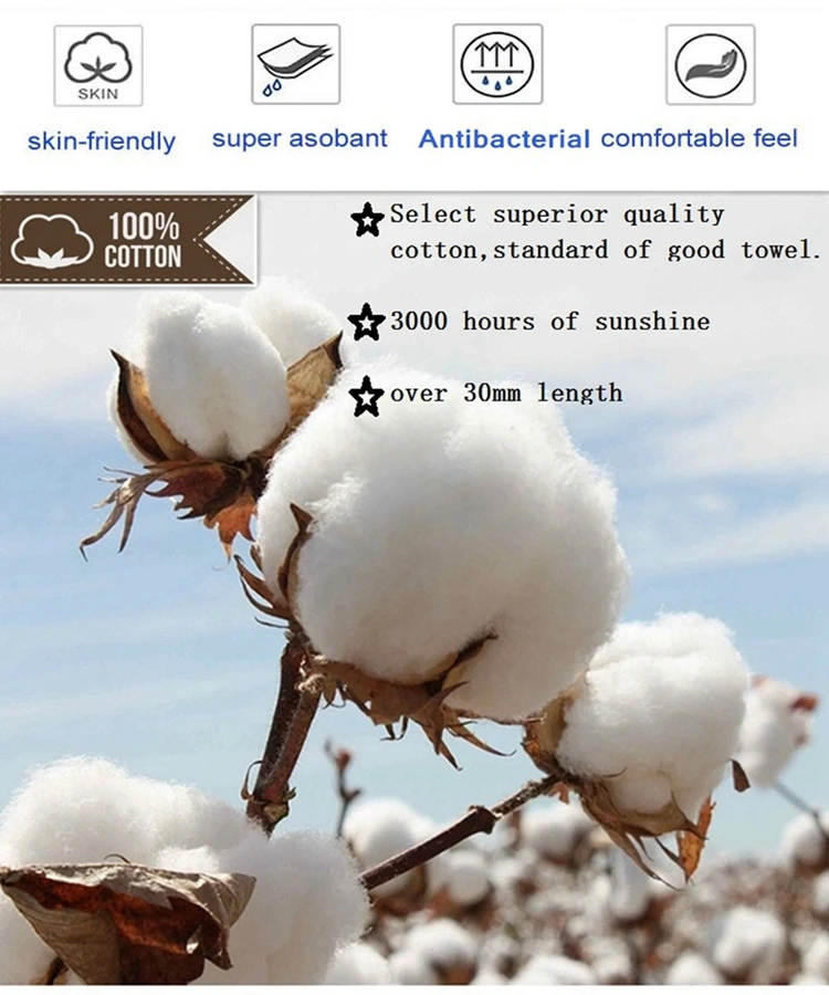 cotton1.jpg