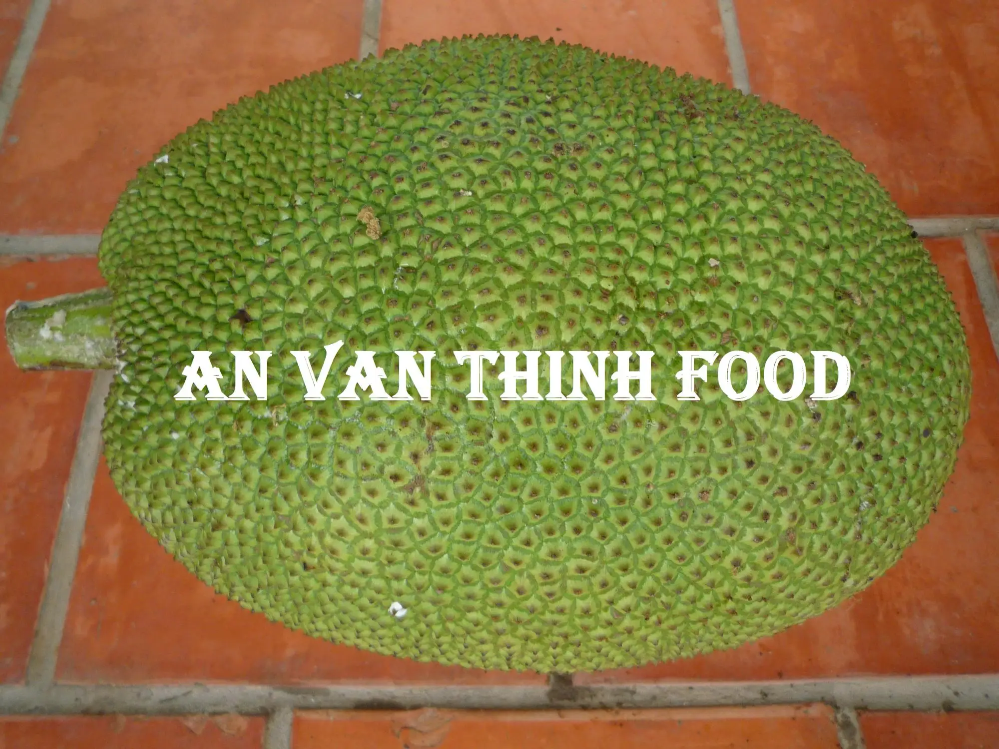 whole jackfruit 06.JPG