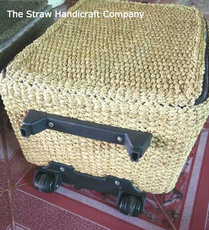 vintage travel case luggage