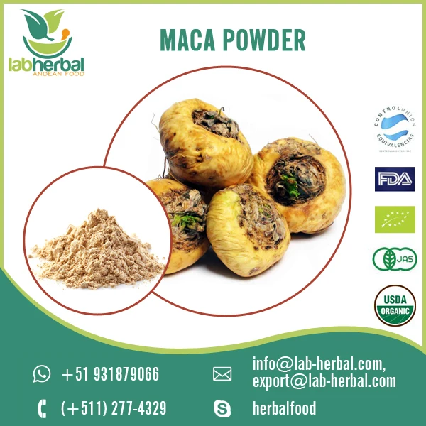 Pure Natural Organic Maca Root Extract Powder