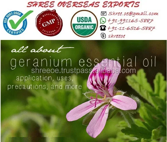 private label certified organic rose geranium oil from indiace