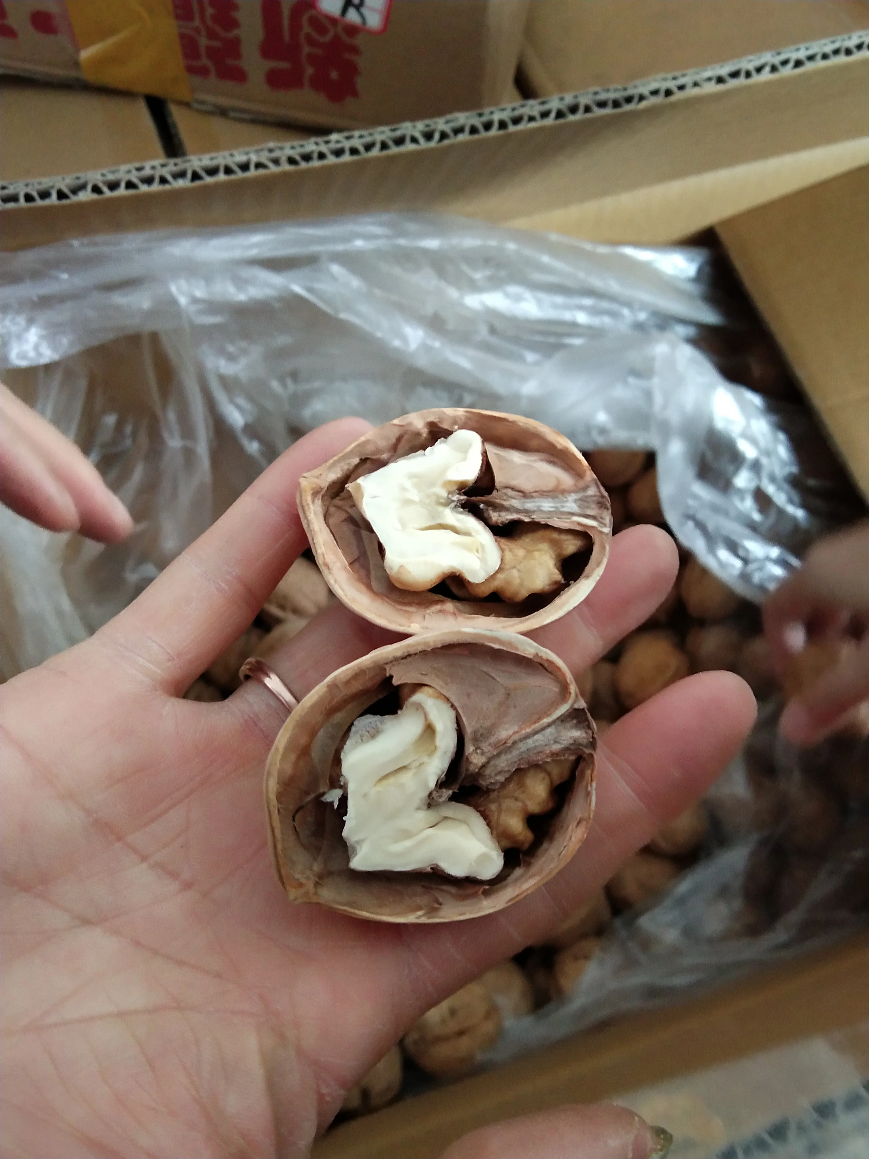 China Paper Inshelled The Walnut Inshell Wholesale Raw Meat Exporter