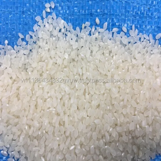 JAPONICA 2% BROKEN 13.jpg