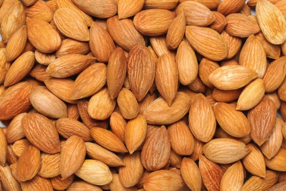 premium quality almond nuts