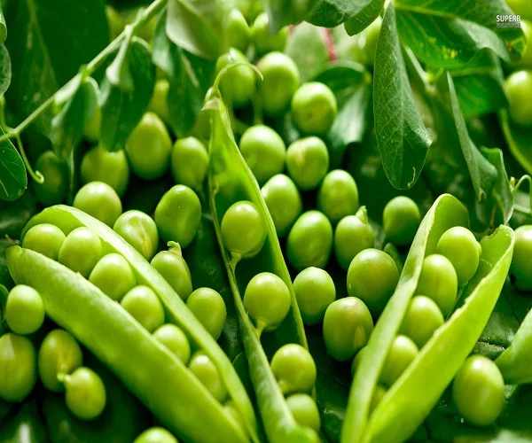 
Original Flavor Green Peas 