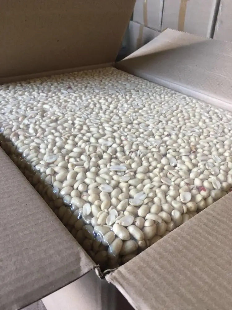 
Peanuts, Blanched Peanut at Whole Sale Price 