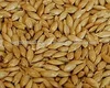 /product-detail/canary-seed-and-bird-mix-seed-50036710295.html