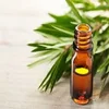 Top Quality Tea Tree Essential Oil / Tea Tree Oil Bulk Price