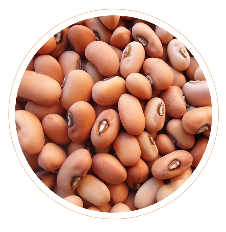 
High Grade Brand Bulk Healthy Dried Beans Cow Peas 