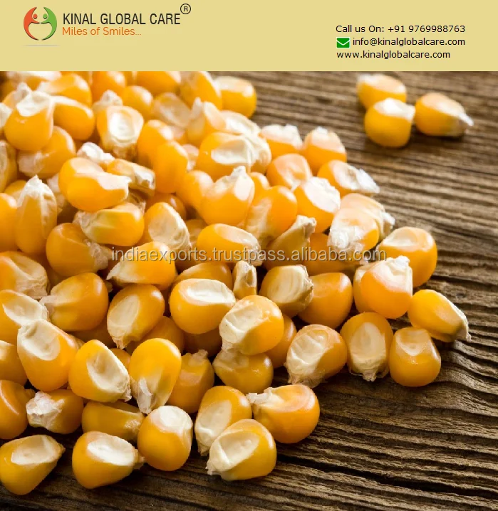 Yellow Maize For Animal Feed Grade Buy Human And Animal Feed Maize