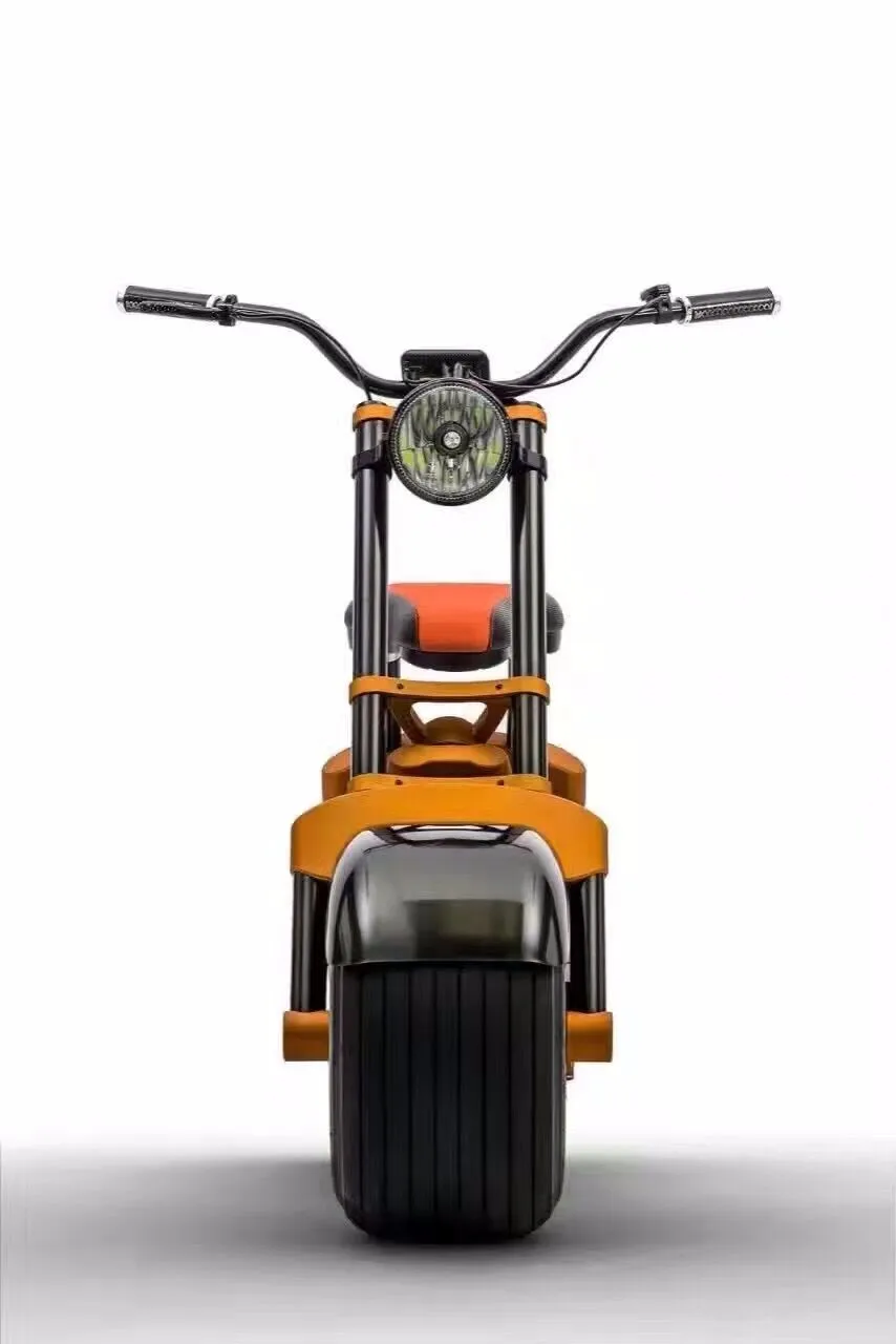 city coco electric bike