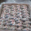 Best Price Frozen Blue Swimming Crab for Sale
