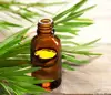 Bulk Sale with Reasonable Price Tree Tea Essential Oil at Lowest Market Price