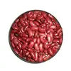 Hot Sale Chinese New Crop White Kidney Beans Excellent Quality