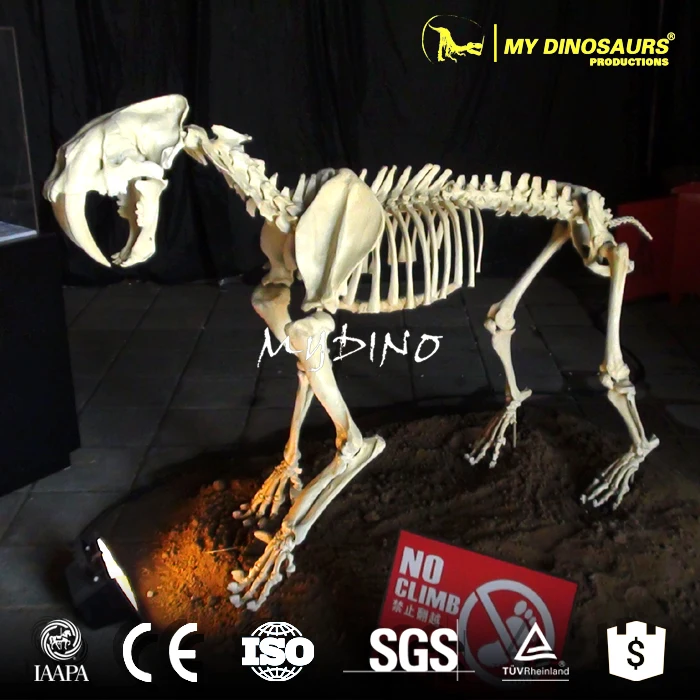 saber-toothed.jpg
