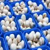 Fresh And White Frozen Mushroom