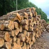 Eu standard quality 680 tons Premium grade PINE,SPRUCE, BIRCH, OAK, ASH , AFRICAN HARDWOOD LOGS FOR SALE