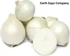 White Onion from Nashik