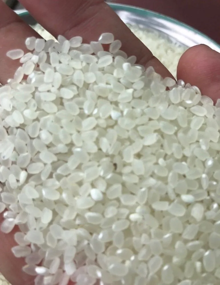 JAPONICA RICE 5% BROKEN.jpg2alibaba