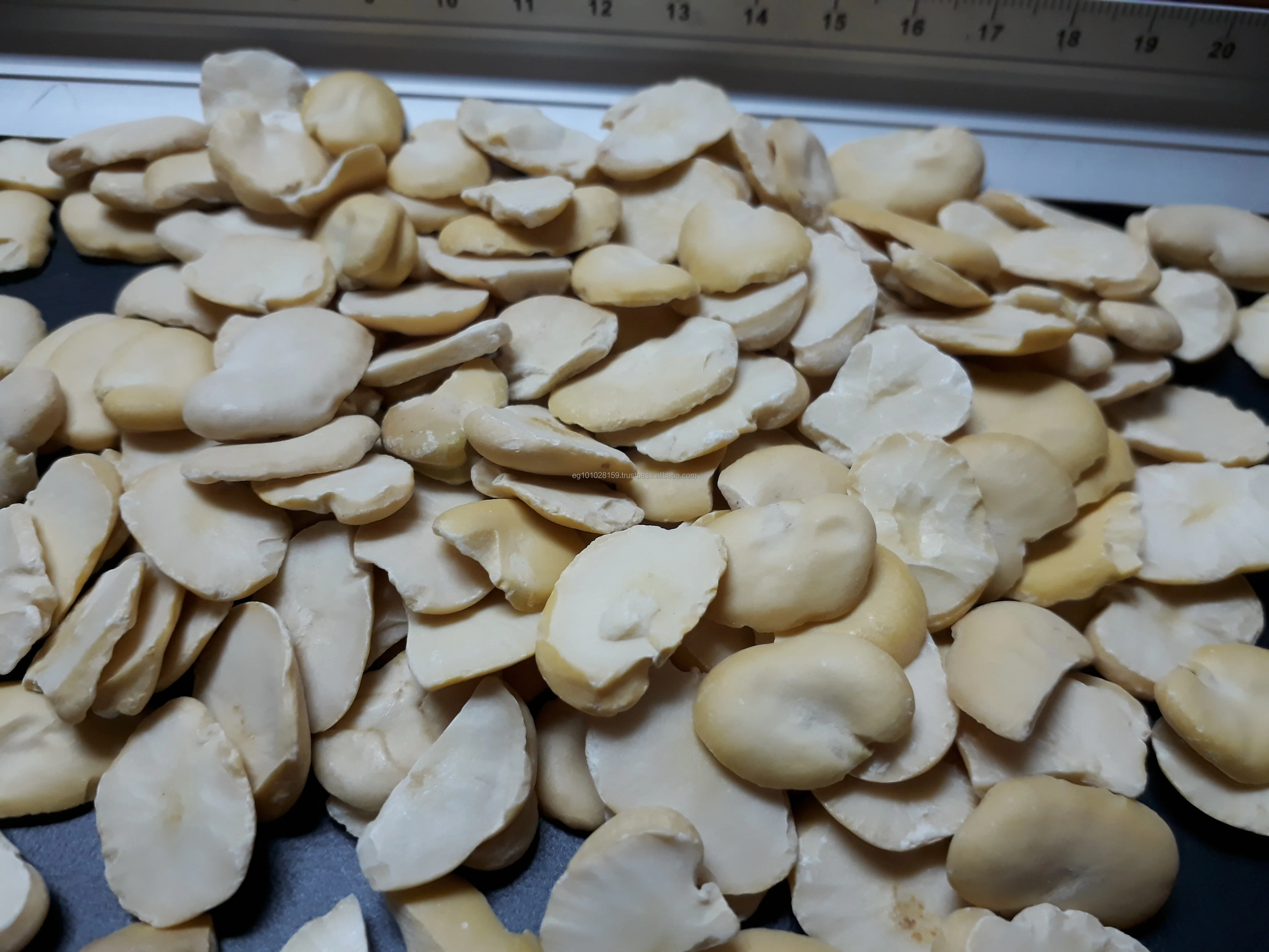 
split broad beans for sale with high quality (grade A) 