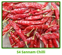 S4-Sannam.jpg