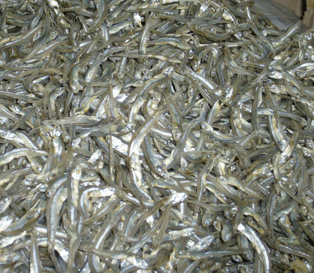Viet Nam Dried Anchovy / Dried Fish/ Seafood (whatsapp +84 3 76540581