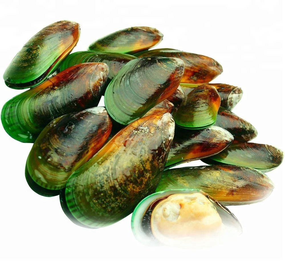 
Bulk New Zealand Green Lipped Mussel Oil Extract 