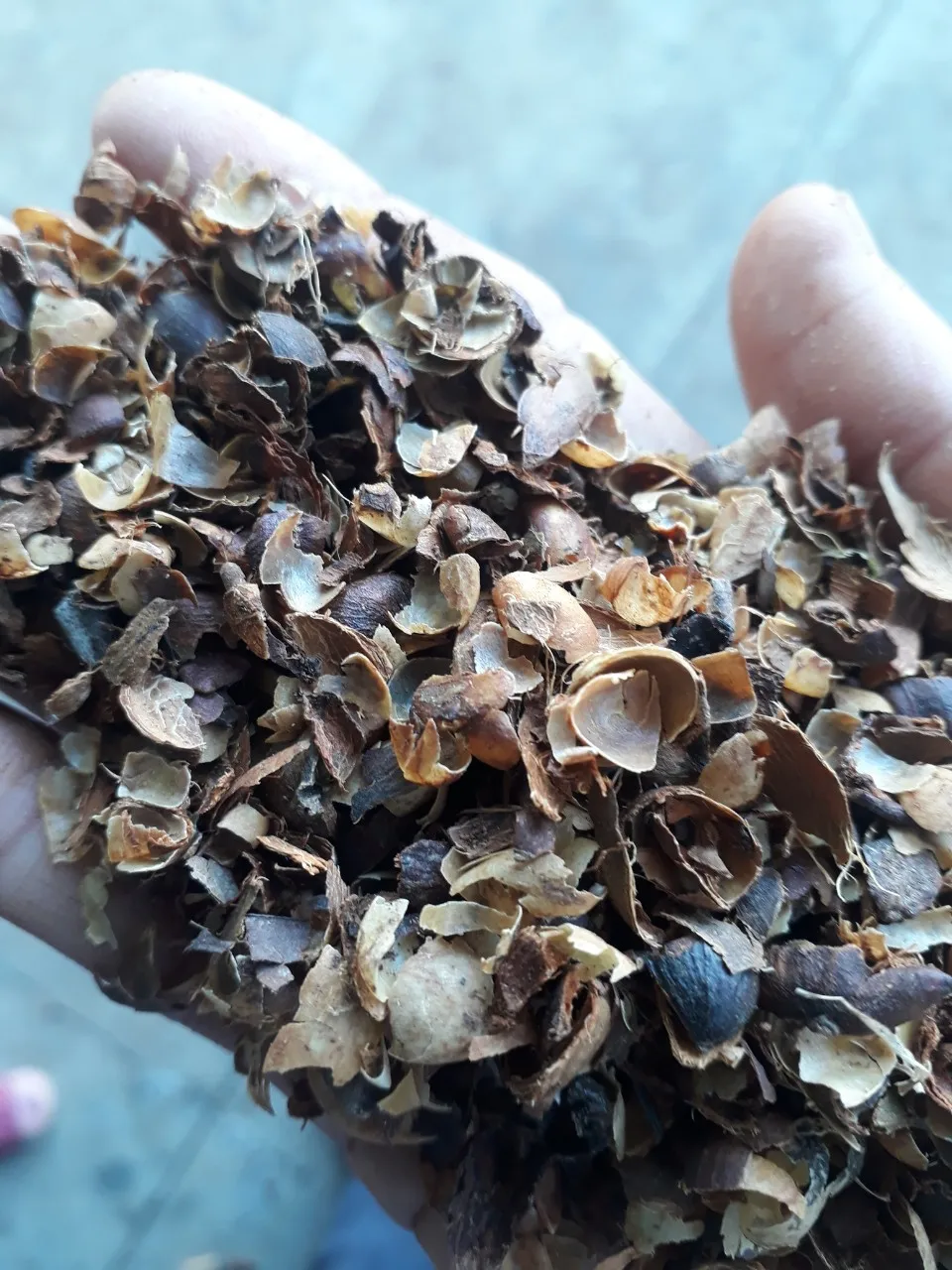 Vietnam Coffee Husk Coffee Bean Husk Mulch Competitive Price From