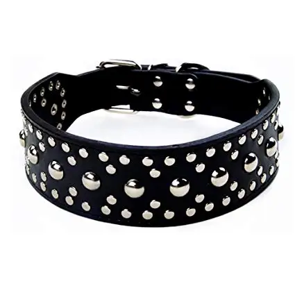 diamond studded dog collar