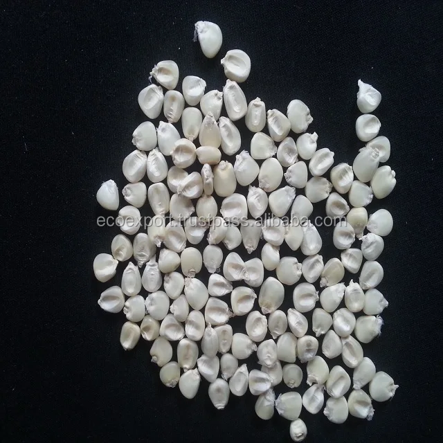 
Desi Maize 