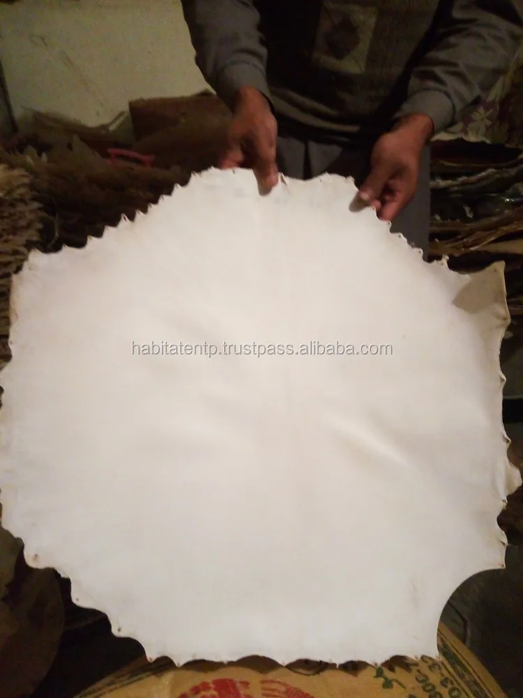 Custom Made Drum Head Skins White Color Finished Goat Cow Calf Buy