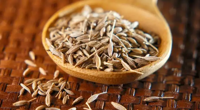 cumin-seeds-NIK-MAY-Exports-LLP