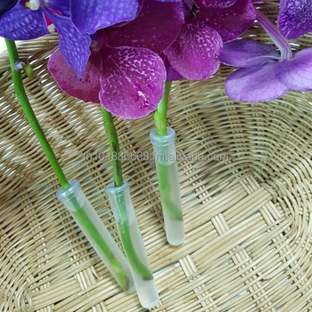 10センチ透明プラスチックバイアル用バンダ蘭の花 Buy プラスチック水管用バンダ蘭 水分補給花チューブ Aquatube Product On Alibaba Com