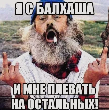 Собака с бородой мем