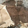 Wet Salted & Dry salted Donkey Hides and Cow Hides/ cattle Hides /animal skin