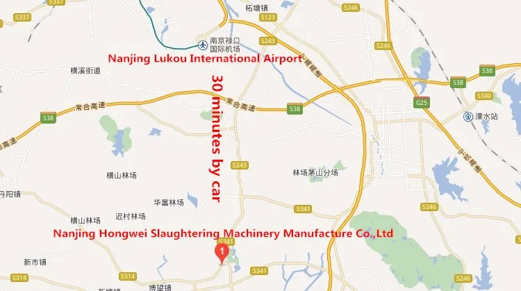 Nanjing Hongwei 4.jpg